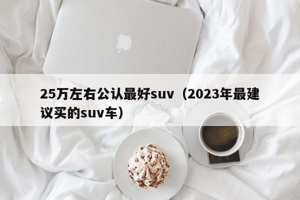 25万左右公认最好suv（2023年最建议买的suv车）