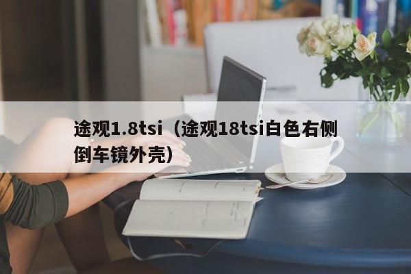 途观1.8tsi（途观18tsi白色右侧倒车镜外壳）
