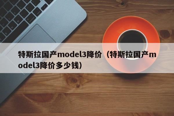特斯拉国产model3降价（特斯拉国产model3降价多少钱）