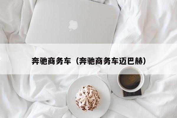 奔驰商务车（奔驰商务车迈巴赫）