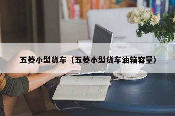 五菱小型货车（五菱小型货车油箱容量）