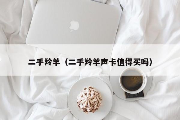 二手羚羊（二手羚羊声卡值得买吗）