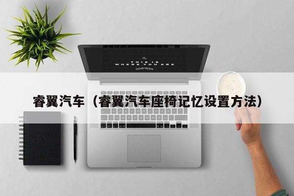 睿翼汽车（睿翼汽车座椅记忆设置方法）