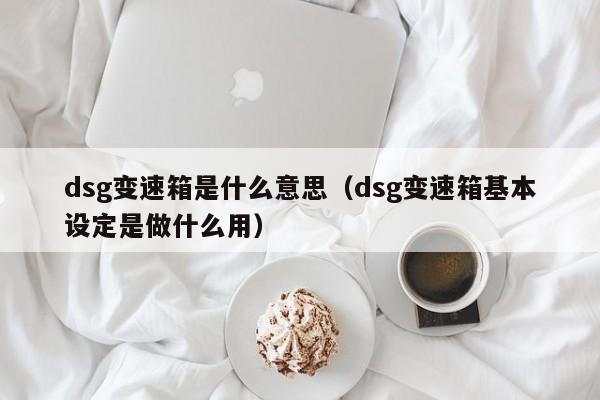dsg变速箱是什么意思（dsg变速箱基本设定是做什么用）